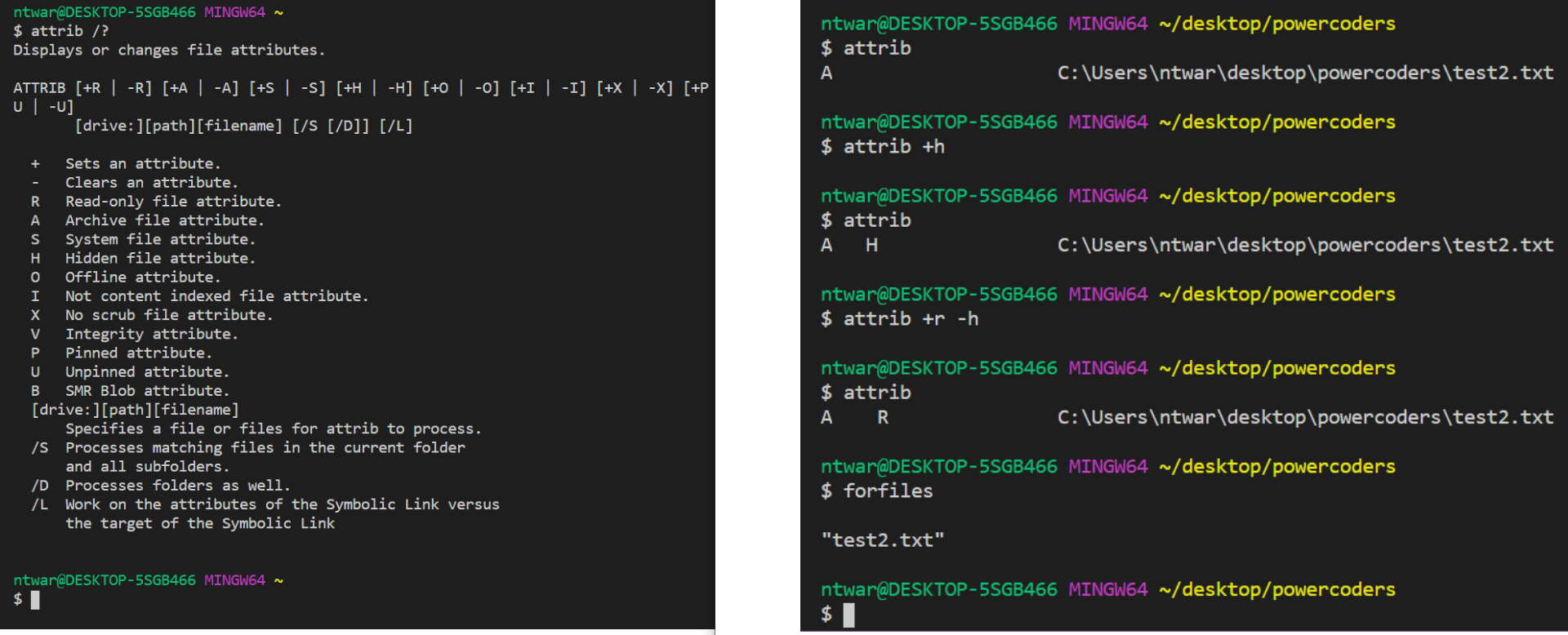 attrib and forfiles command attrib and forfiles command
